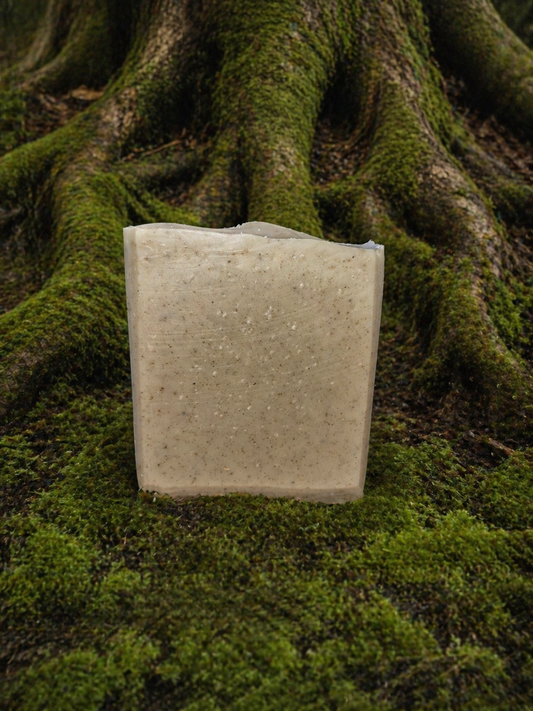 Mossy Roots*